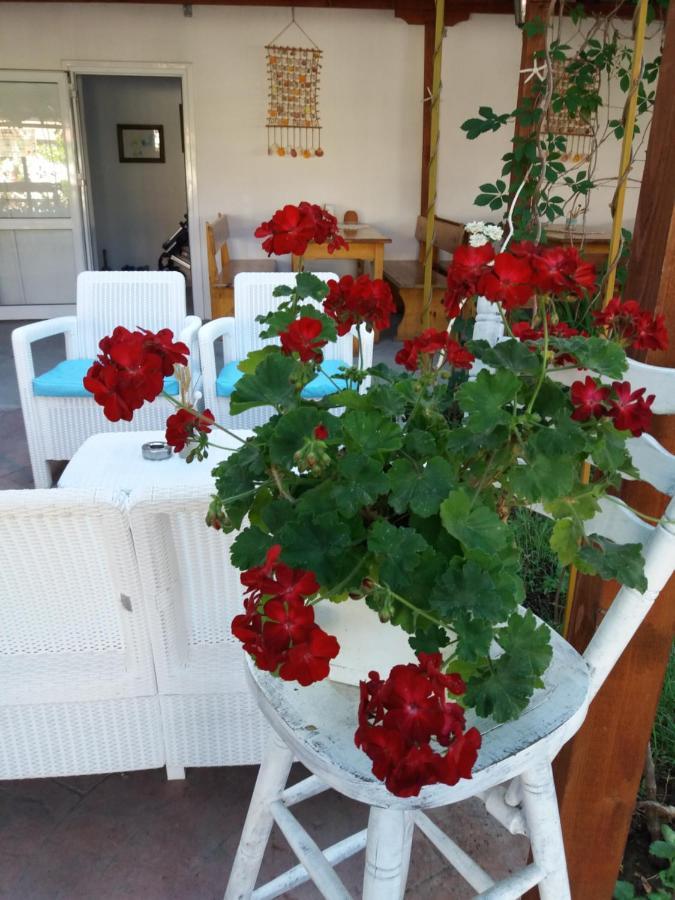 Alba Family Club Hotel Primorszko Kültér fotó