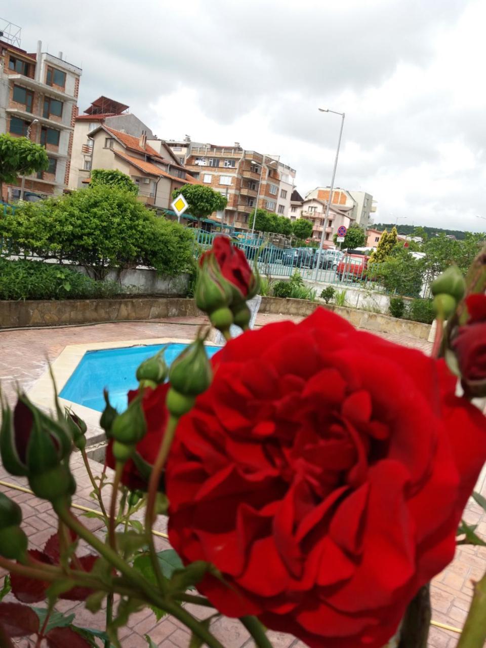 Alba Family Club Hotel Primorszko Kültér fotó