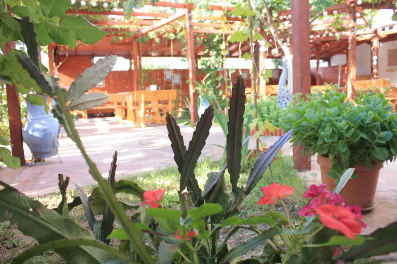 Alba Family Club Hotel Primorszko Kültér fotó