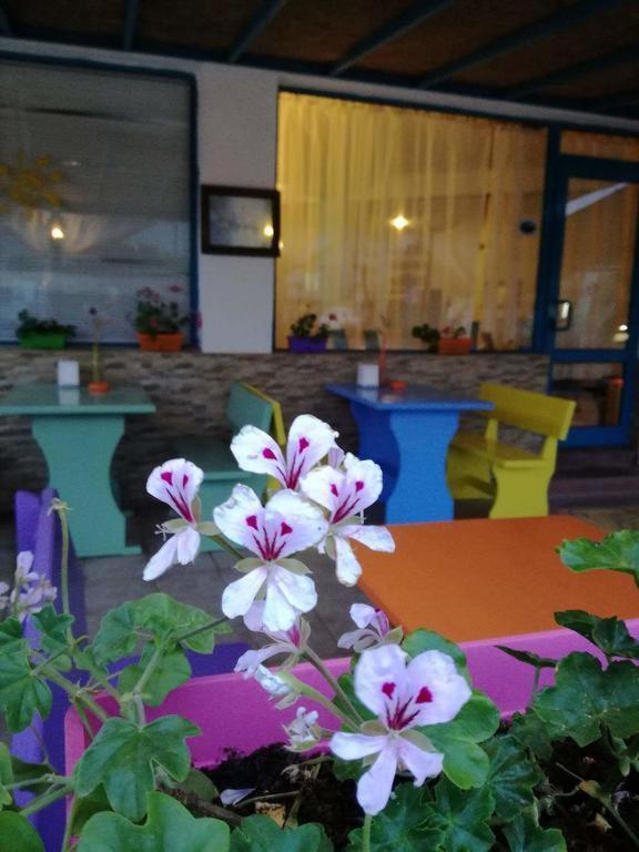 Alba Family Club Hotel Primorszko Kültér fotó